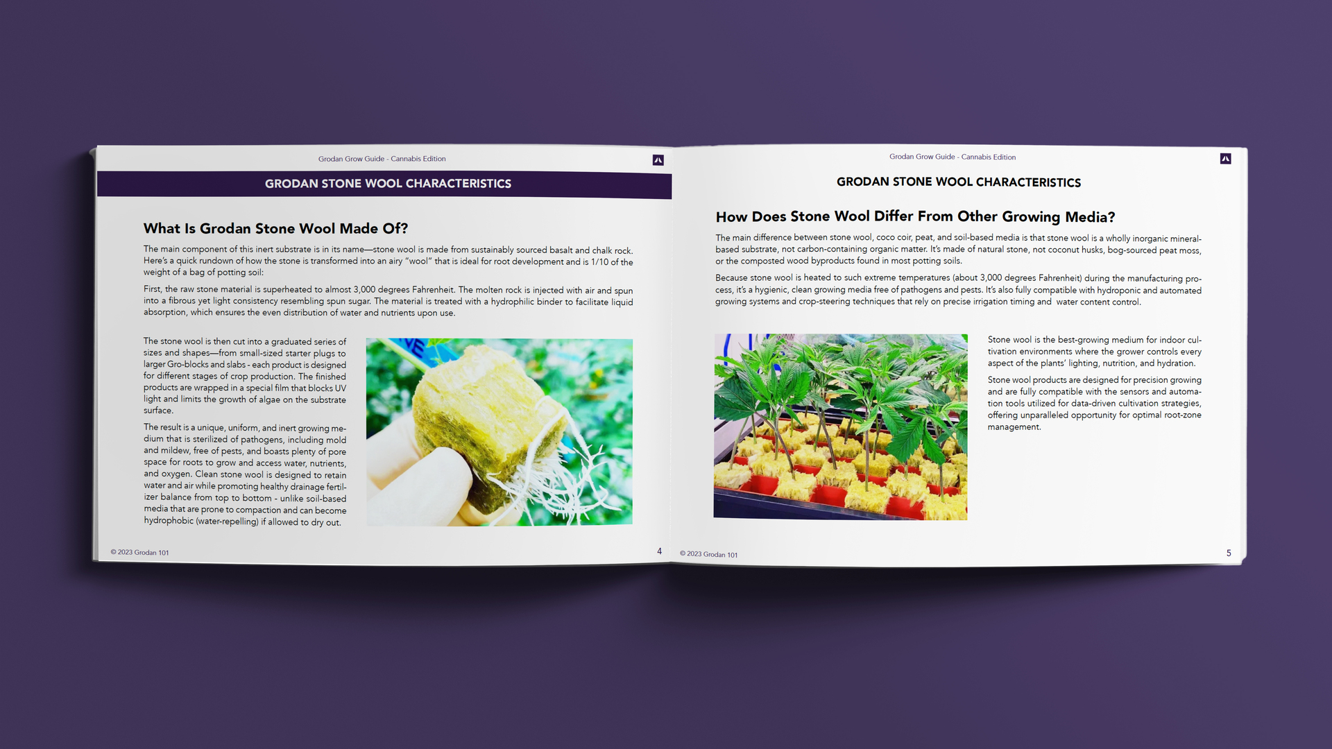 Propagation of Cuttings Mock Up